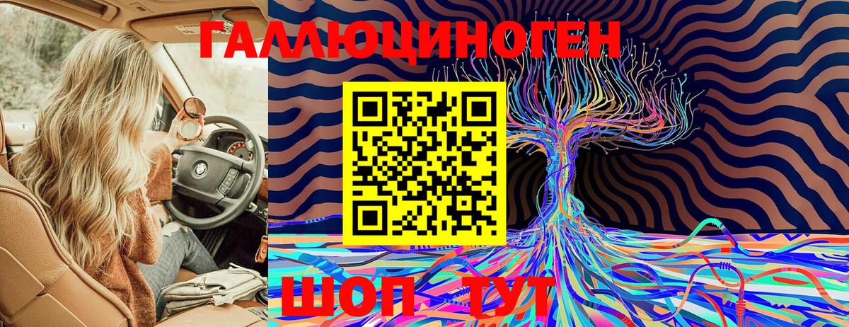 Псилоцибиновые грибы Psilocybe  Псилоцибиновые грибы Cubensis  Вход с VPN  Дмитров 