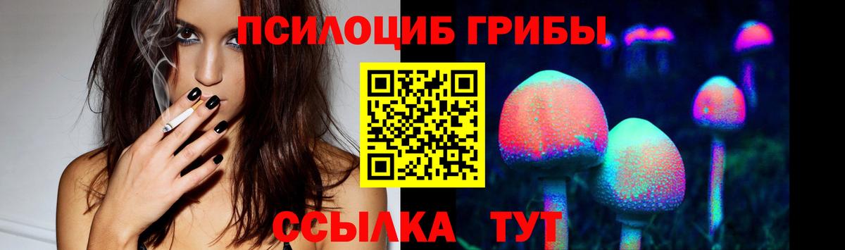 Псилоцибиновые грибы Psilocybine cubensis Дмитров