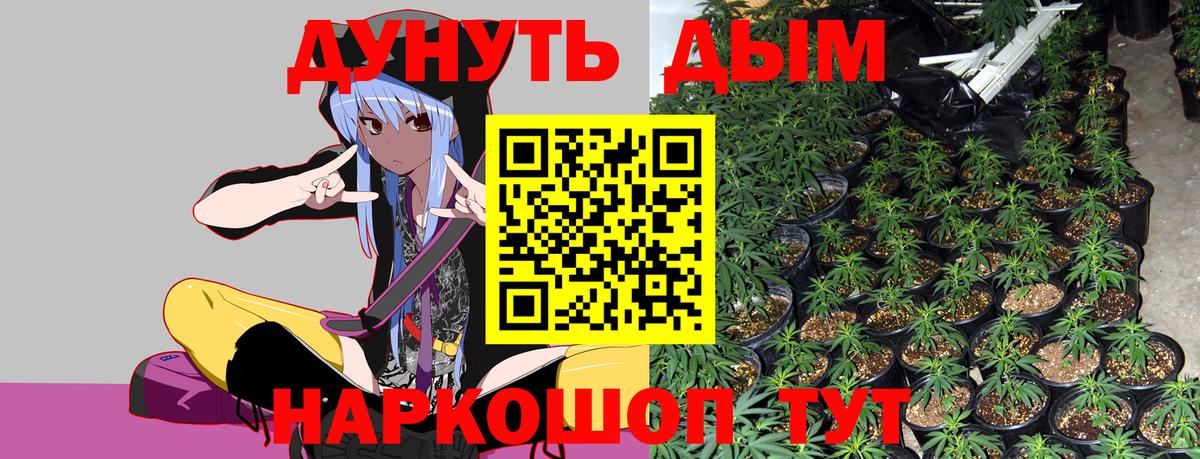 Канабис OG Kush Дмитров